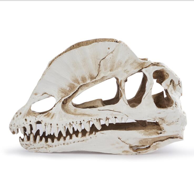 Dilophosaurus Skeleton Model R - Home Office Gear review and price