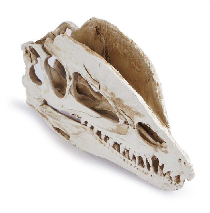 Dilophosaurus Skeleton Model R - Home Office Gear review and price